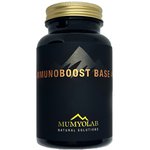 ImmunoBoost BASE 4/1   