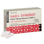 NAD+ Synergy